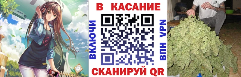 Как найти наркотики Приозерск ГАШИШ  АМФ  Cocaine  Меф мяу мяу  Каннабис  А ПВП 