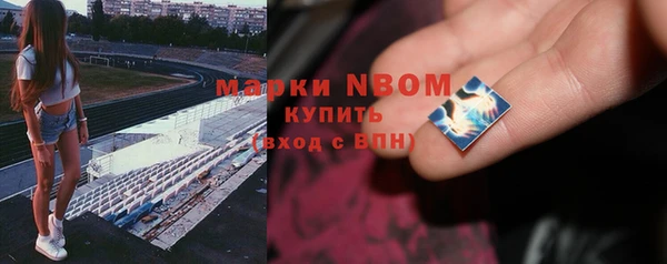 PSILOCYBIN Аркадак