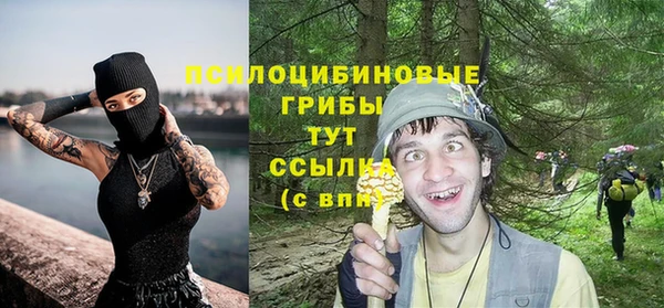 PSILOCYBIN Аркадак