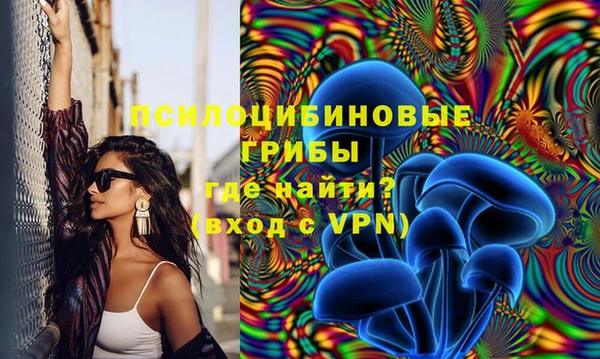 прущие крисы Арсеньев