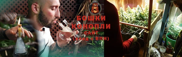 прущие крисы Арсеньев