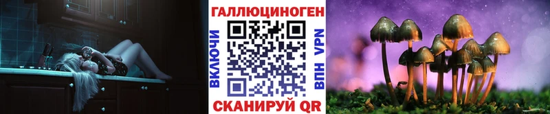 MEGA зеркало  маркетплейс Telegram  Псилоцибиновые грибы Psilocybine cubensis  наркота  Приозерск 
